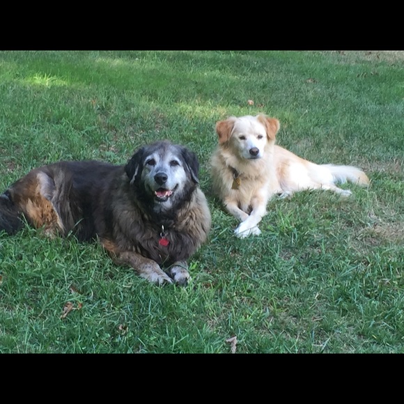 Meet your Posher, Donna - Picture 2 of 4